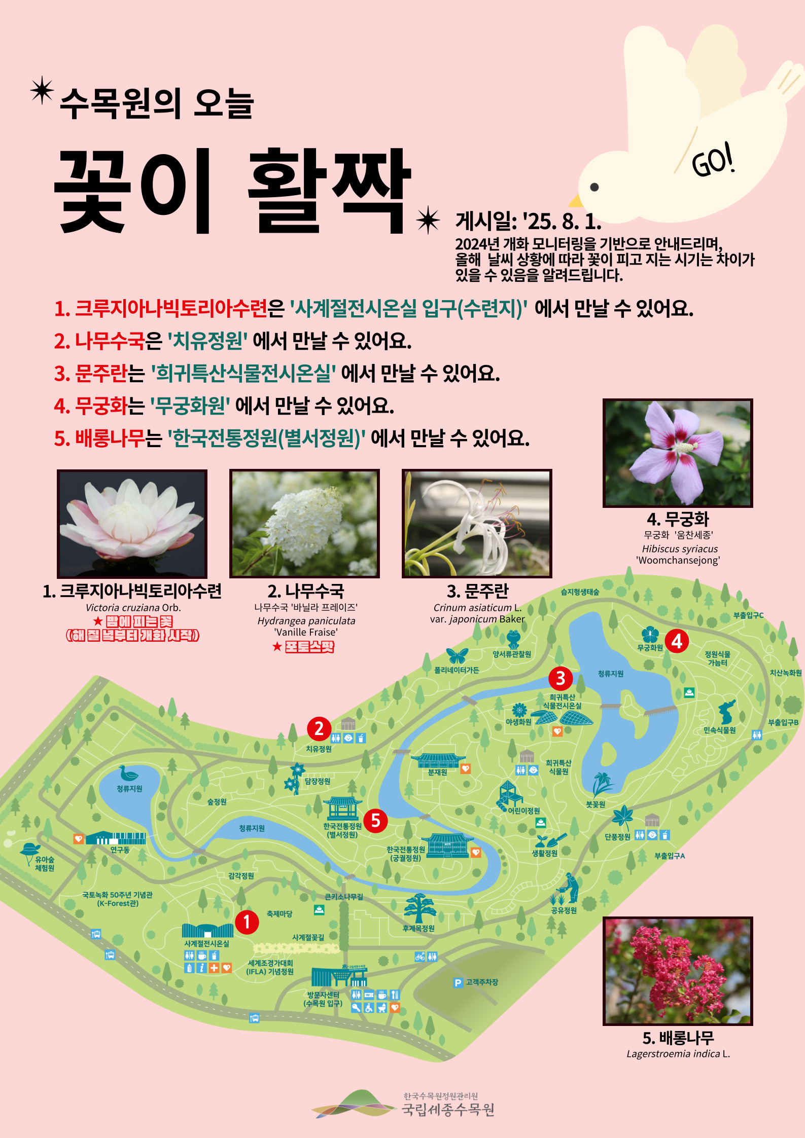 국립세종수목원 개화소식(25-12).jpg