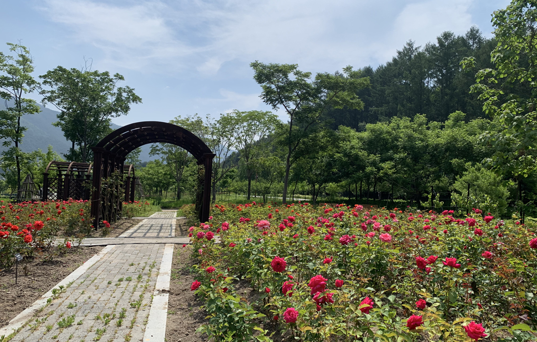 장미정원 썸네일