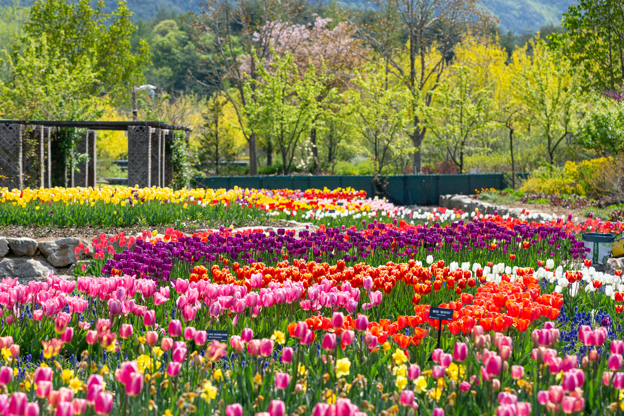 무지개정원 썸네일