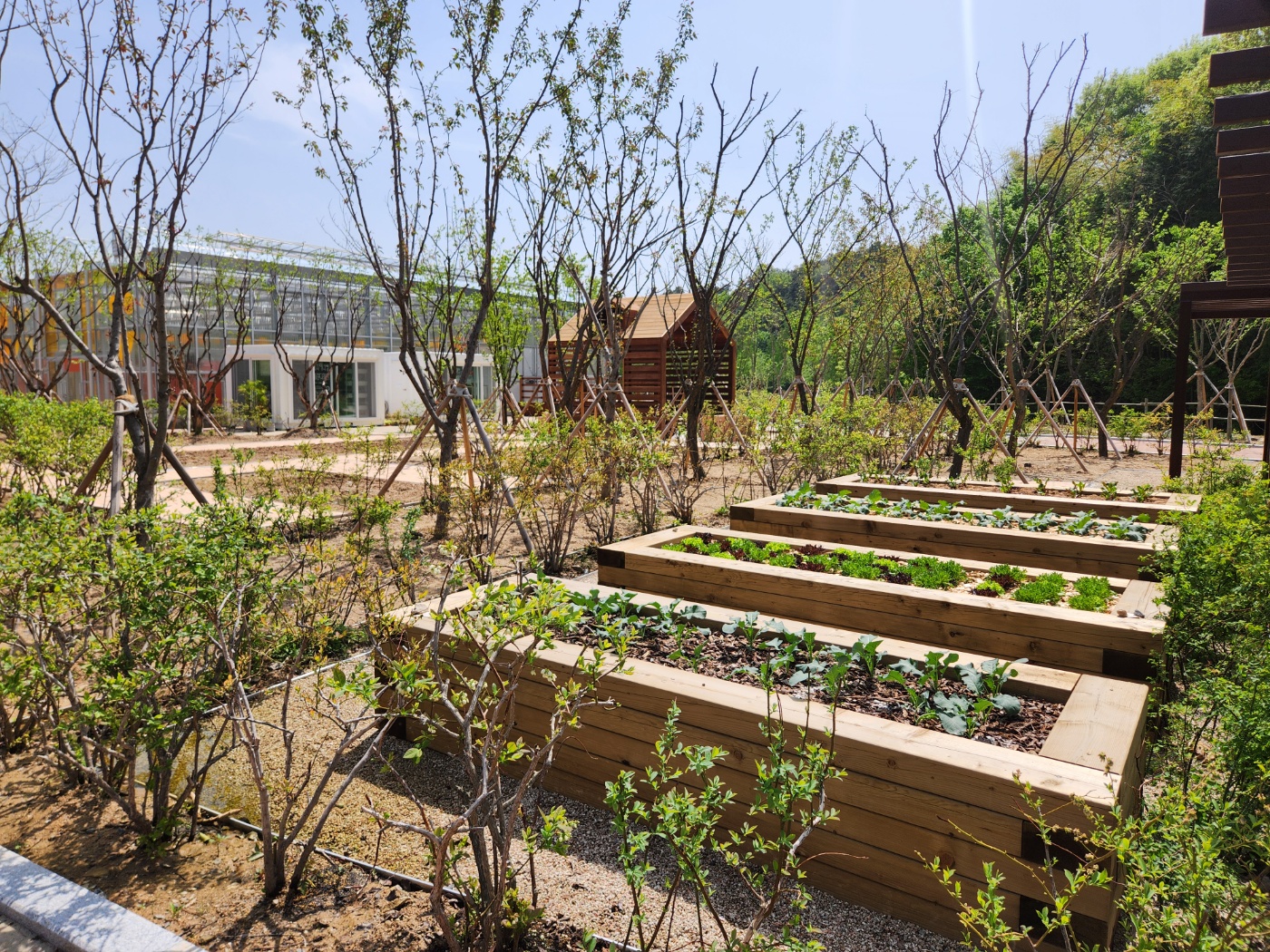 텃밭정원 썸네일