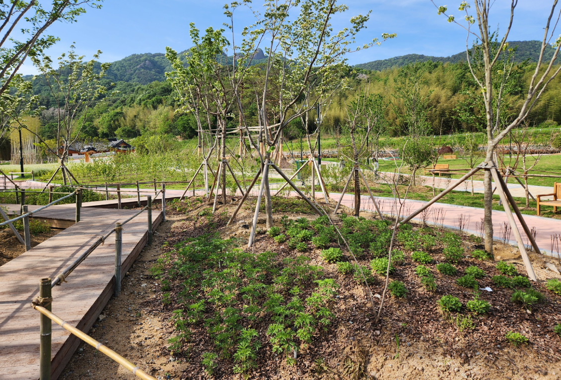 약초정원 썸네일