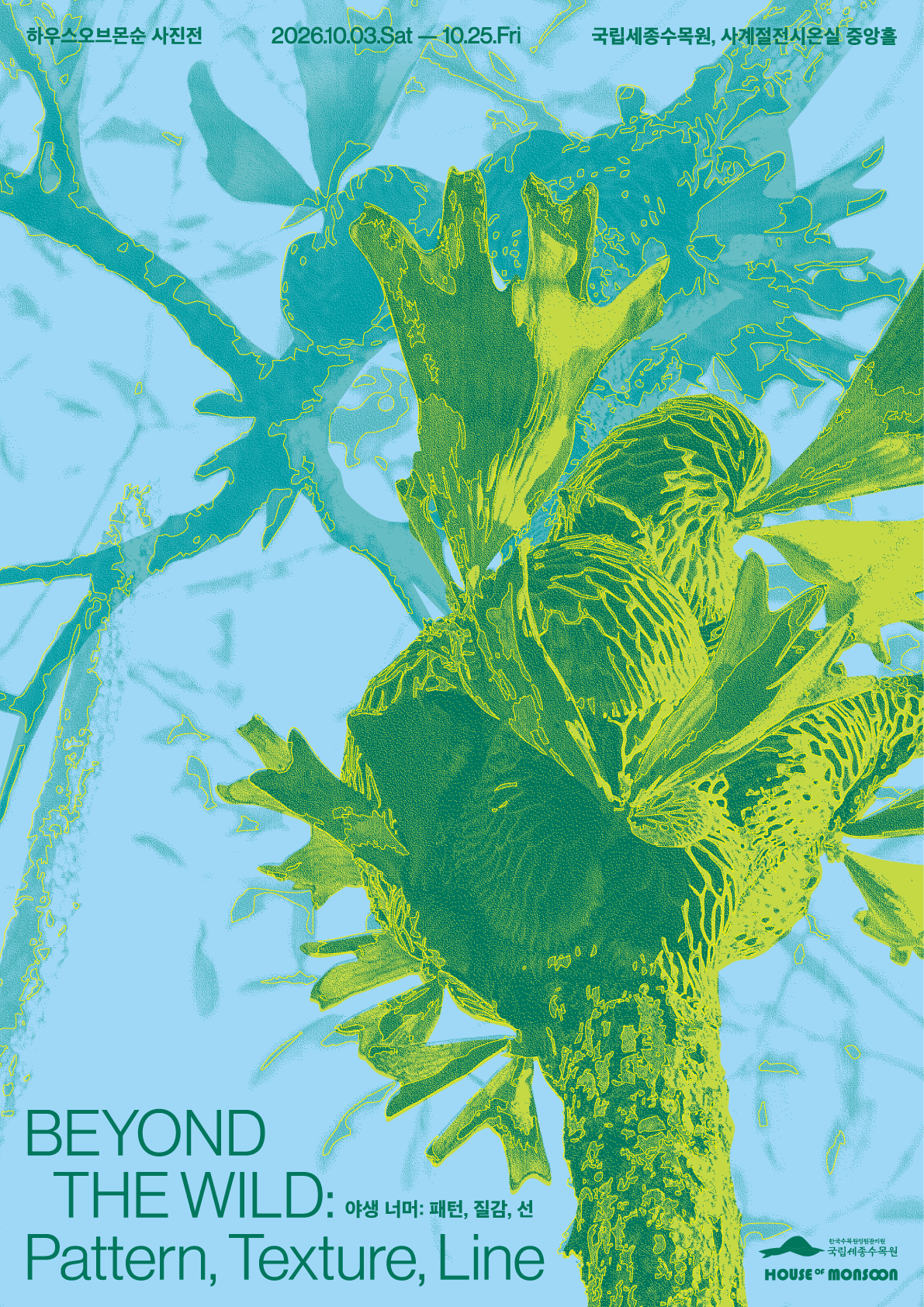 BEYOND THE WILD: Pattern, Texture, Line 썸네일