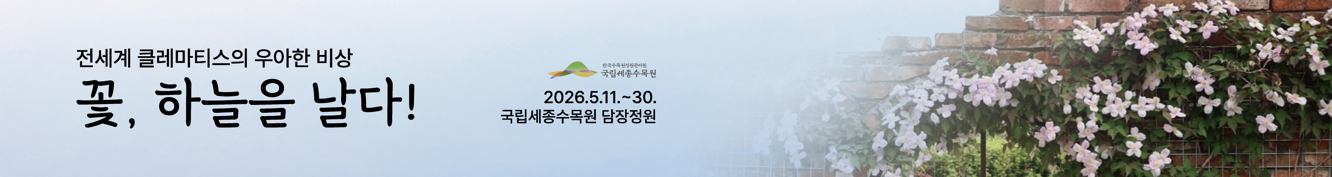 꽃 하늘을 날다