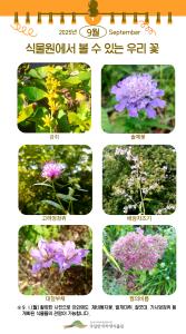 ('25.9.1.)식물원에서 볼 수 있는 우리 꽃.jpg