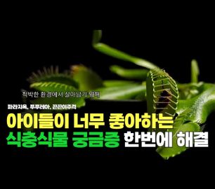 가드너가 식충식물에 대한 궁금증 한번에 해결해드립니다. (feat. 식충식물을 찾아서)
