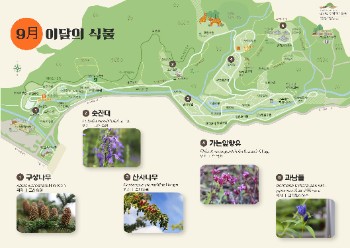 이달의식물9월-1.jpg
